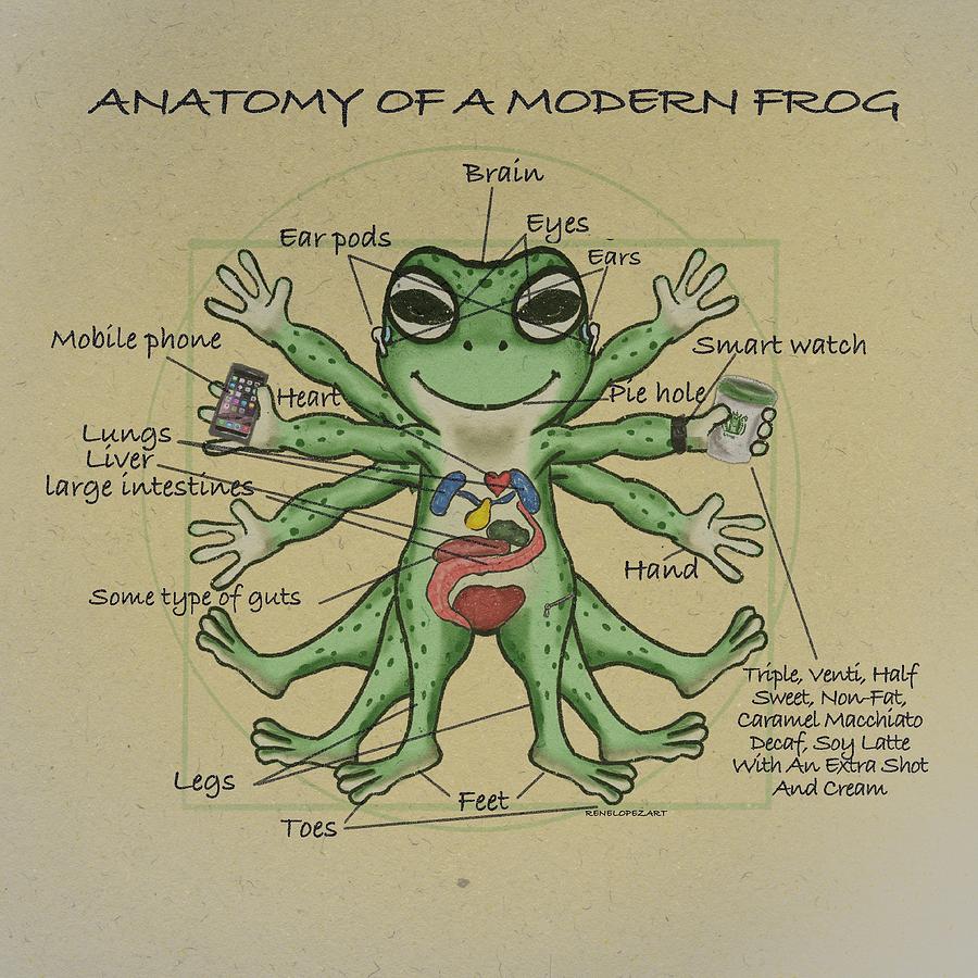 Frog Anatomy Digital Art by Rene Lopez - Fine Art America