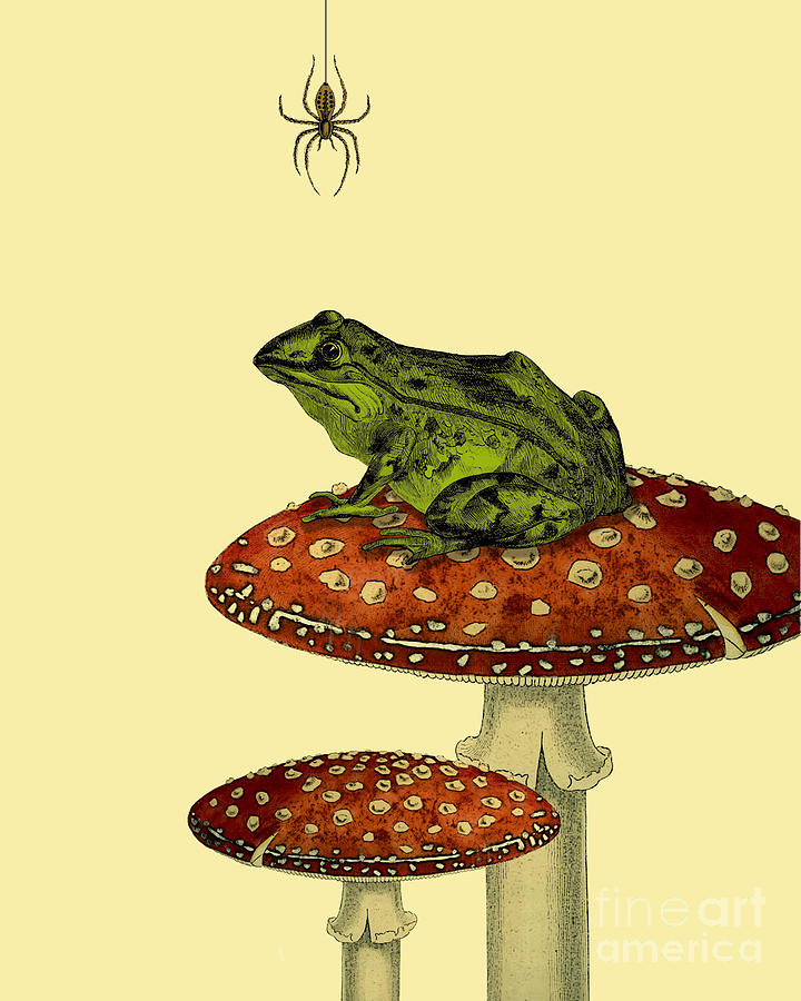 Spider Digital Art - Frog and Spider by Madame Memento