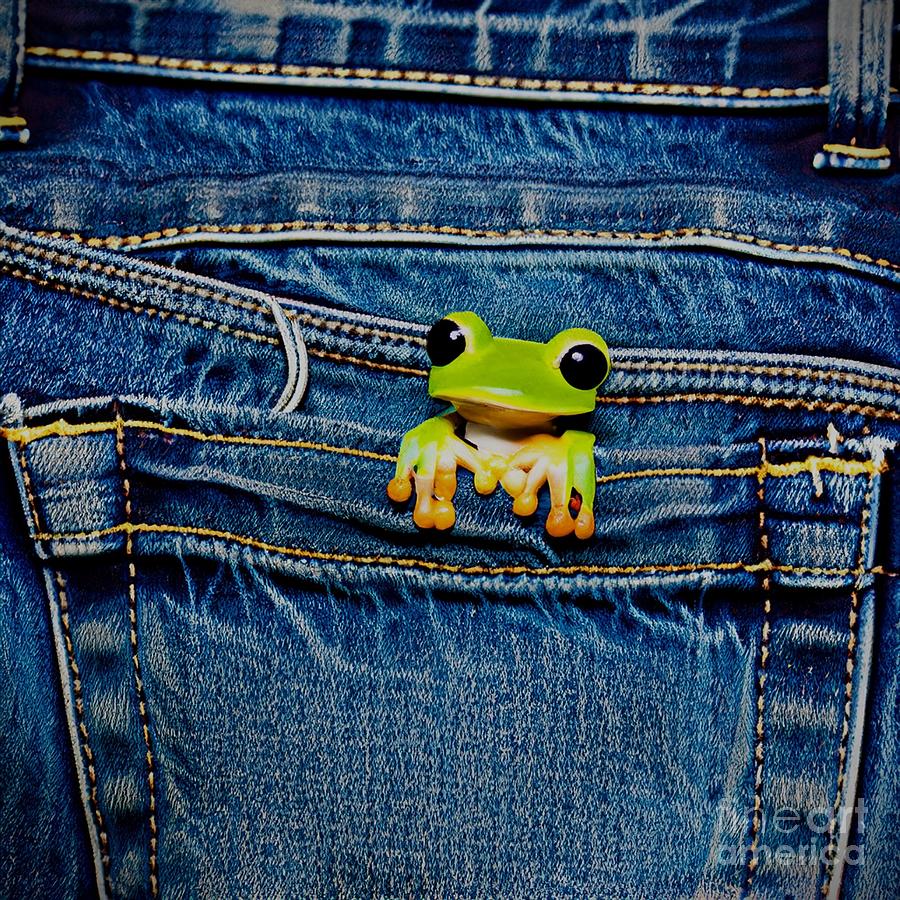 Frog in My Pocket Digital Art by Dr Debra Stewart's Gallery - Fine Art ...