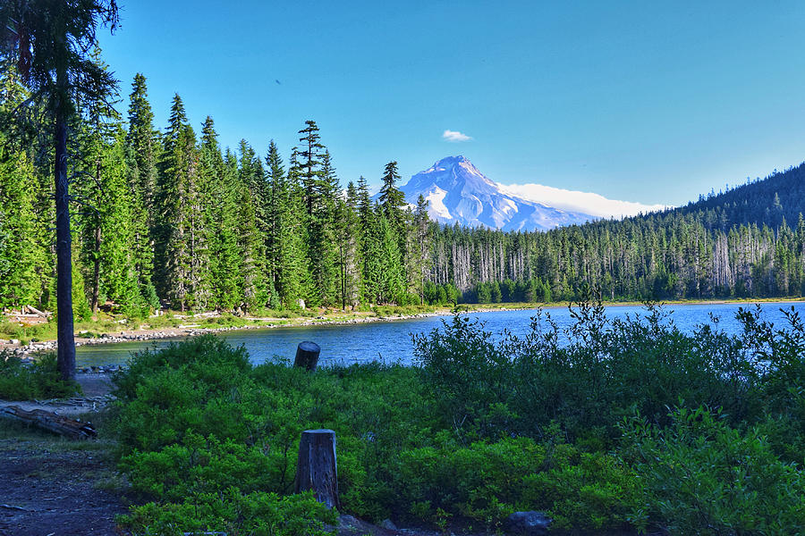 Frog Lake Photograph by Dana Hardy Fine Art America
