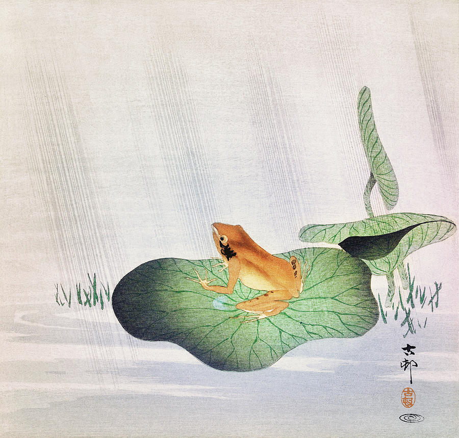 Animal Painting - Frog on a lotus leaf by Ohara Koson