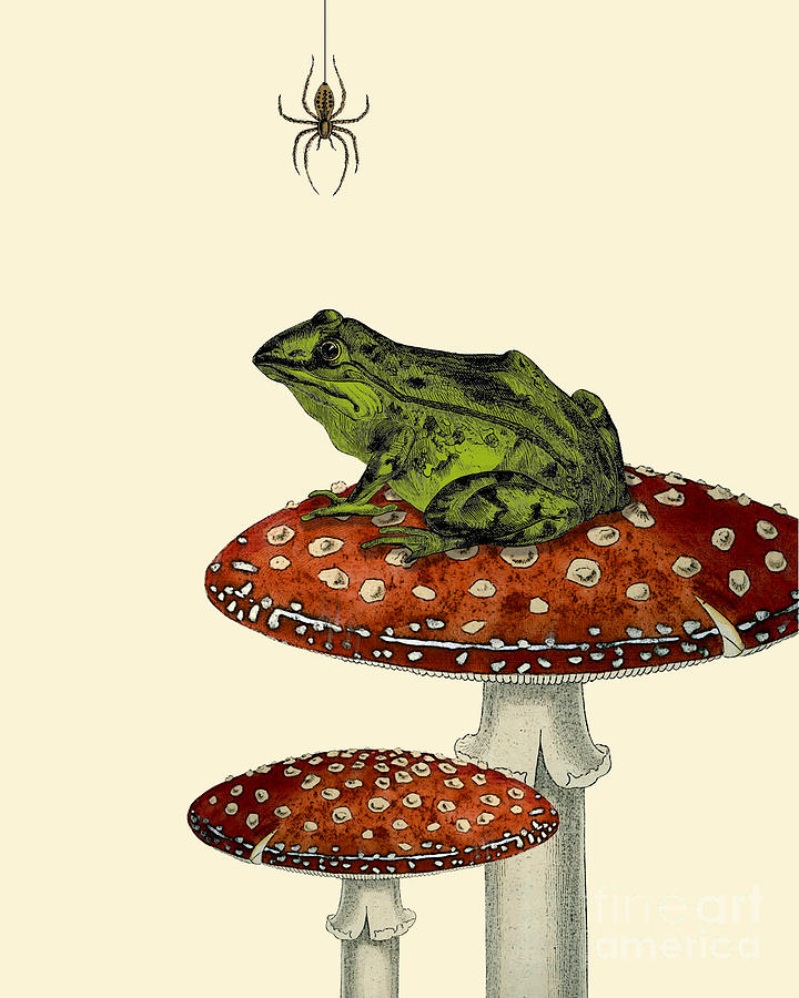 Spider Mixed Media - Frog on a toadstool by Madame Memento