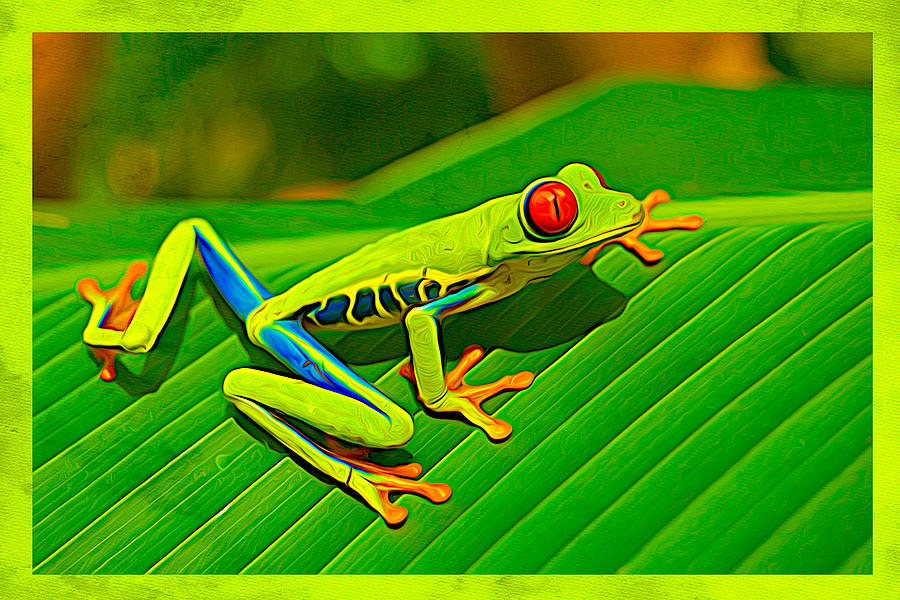 Frog On Leaf Digital Art by Steven Parker