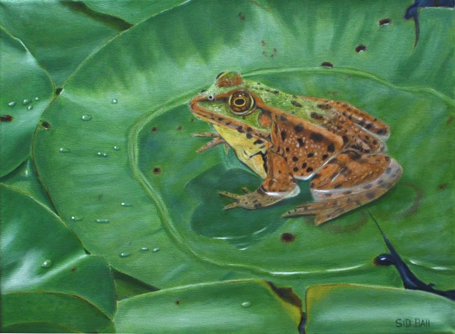 Frog On Lily Pad Painting By Sidney Ball