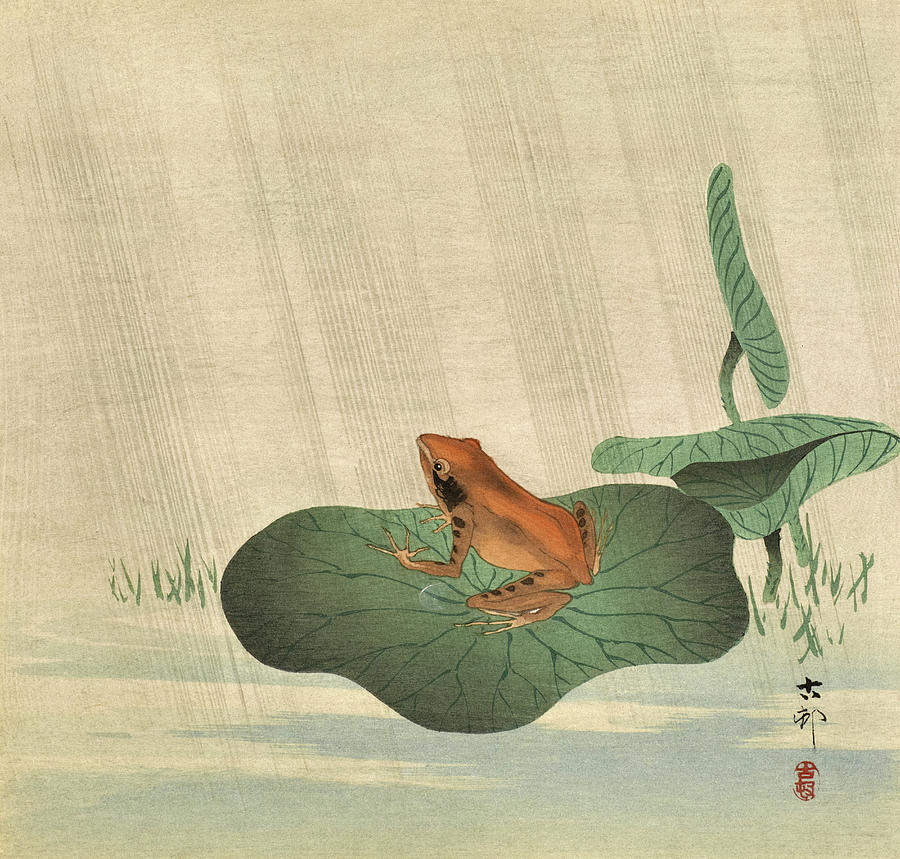 Frog on Lotus Leaf, 1900 Painting by Ohara Koson - Pixels