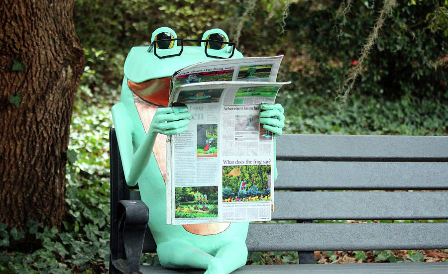 Frog With His Newspaper Photograph by Cynthia Guinn