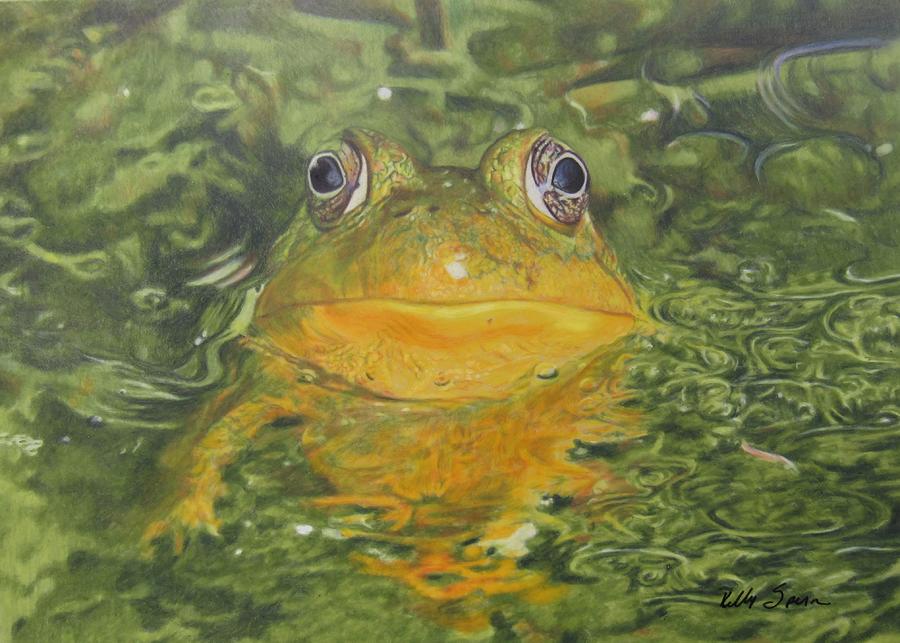 Frogs Delight Drawing by Kelly Speros