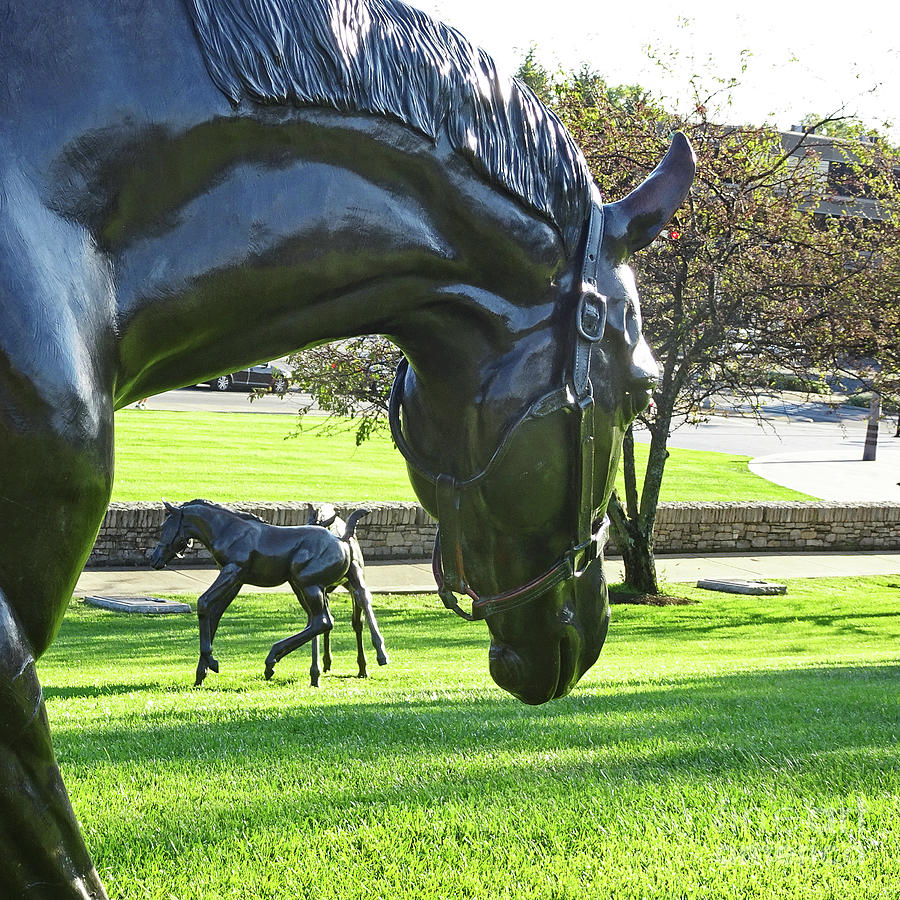 Frolicking Foals - Square Photograph by Linda Brittain