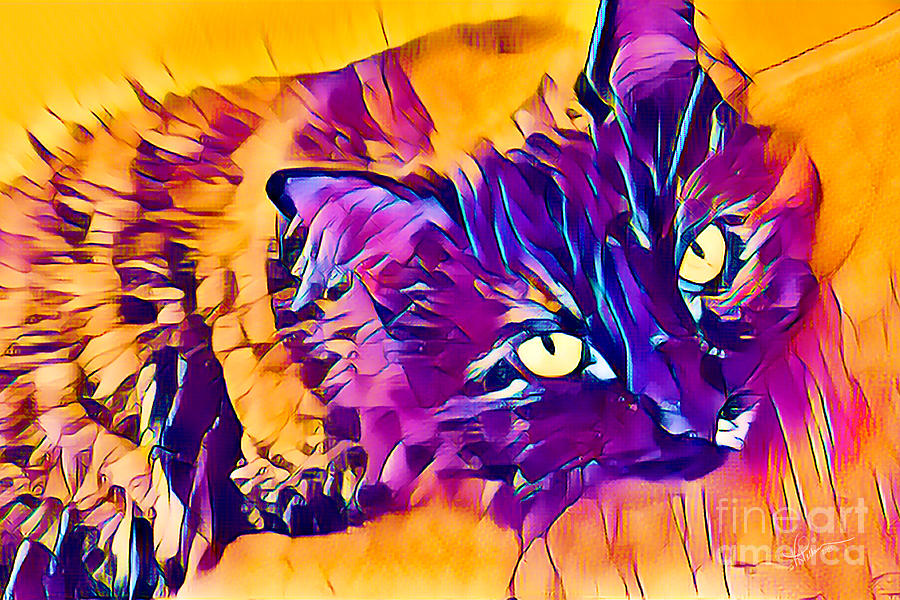 From a Cats Perspective Digital Art by Vicki Pelham