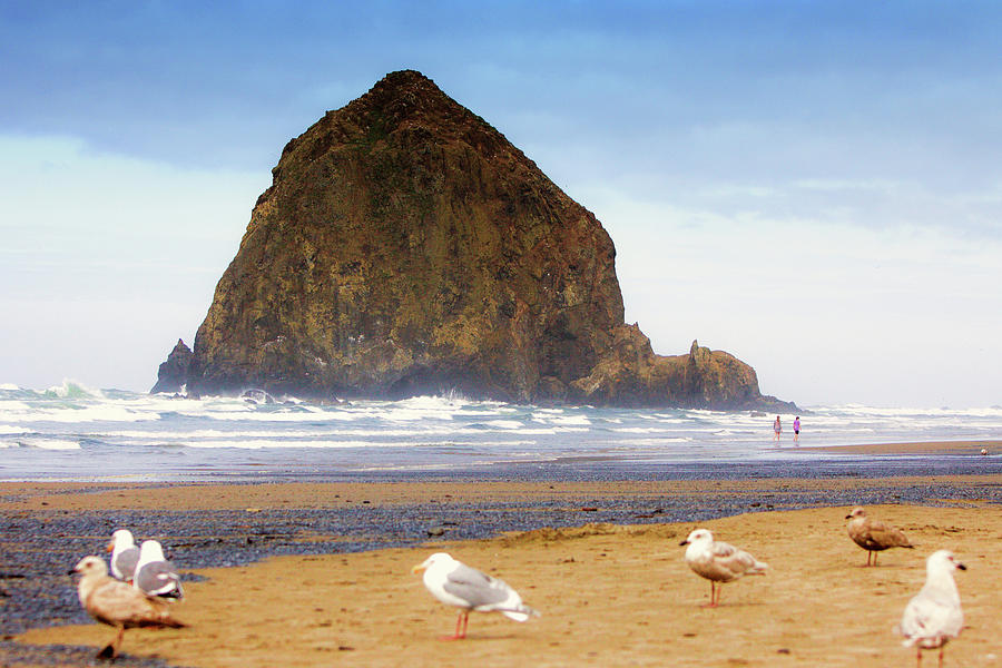 From a Gulls Perspective Haystack Rock Photograph by Kandy Hurley