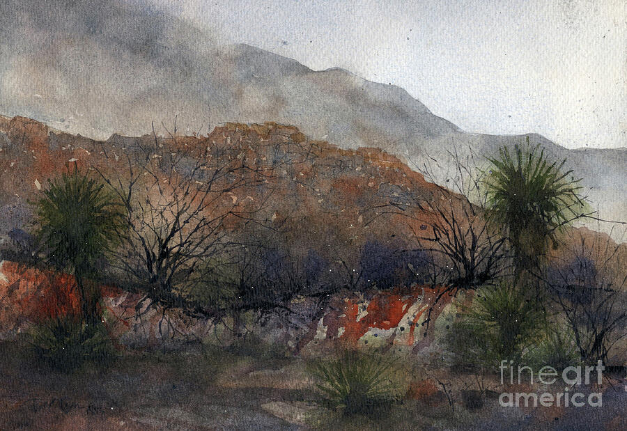 Tree Painting - From Boquillas Gulch by Tim Oliver
