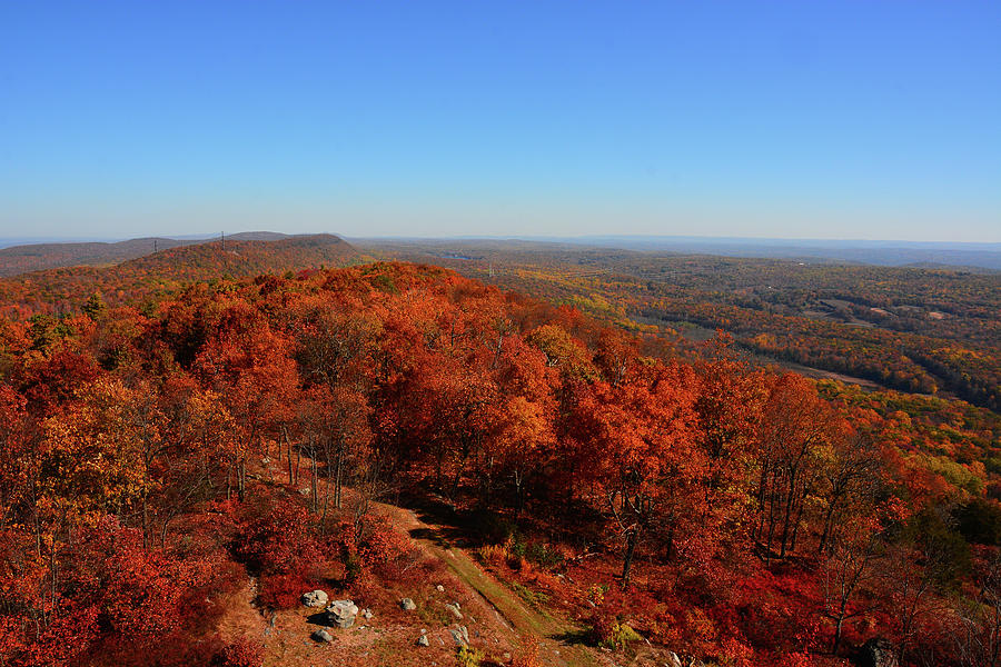 From Catfish Fire Tower Looking North 2 Photograph by Raymond Salani III