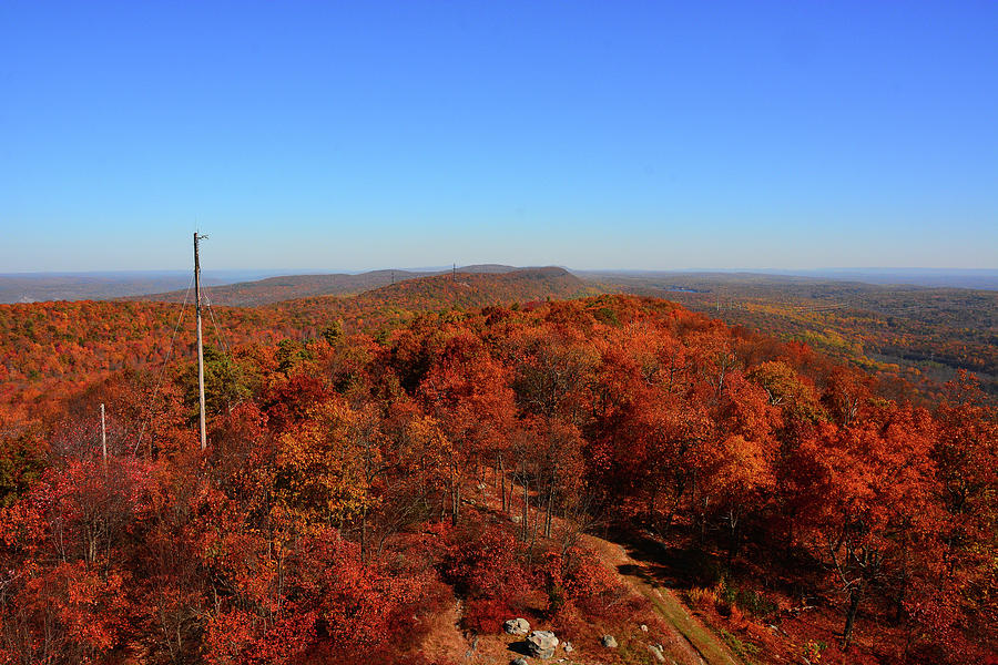 From Catfish Fire Tower Looking North 3 Photograph by Raymond Salani III