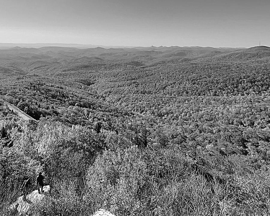 From Rough Ridge Trail BW Photograph by Lee Darnell