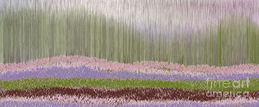 From The Fountain Grass Digital Art by Bentley Davis