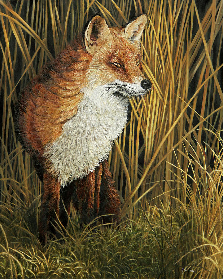From The Shadows - Red Fox Painting by Johanna Lerwick