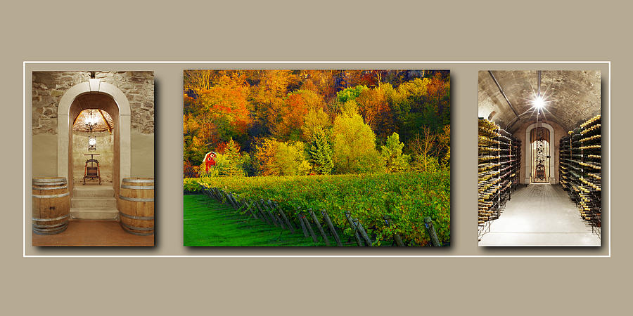 From Vineyard to Cellar Triptych - Art Print Photograph by Kenneth Lane Smith