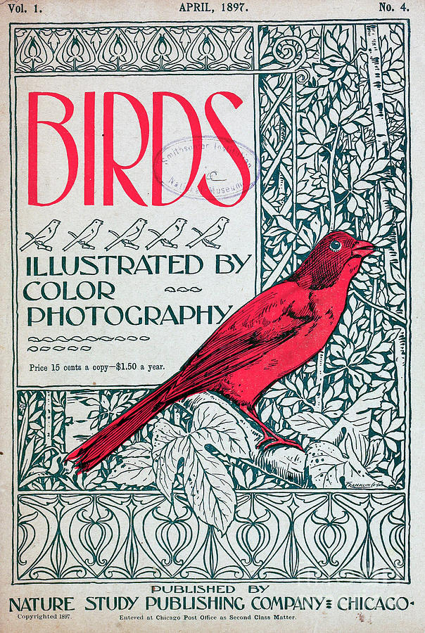 Front Cover of Birds Magazine 1897 c1 Drawing by Historic illustrations ...