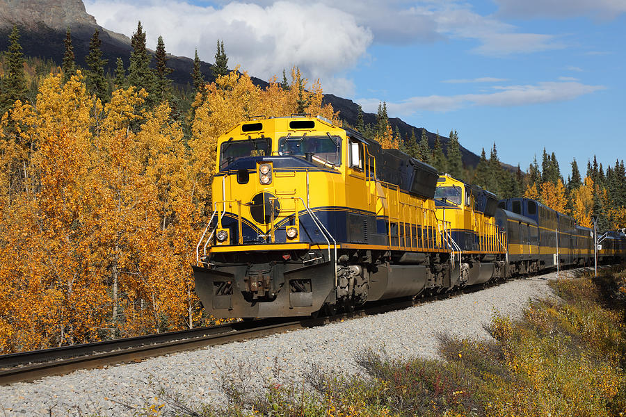 Front view of Alaska Railroad in autumn landscape Photograph by Rainer Grosskopf