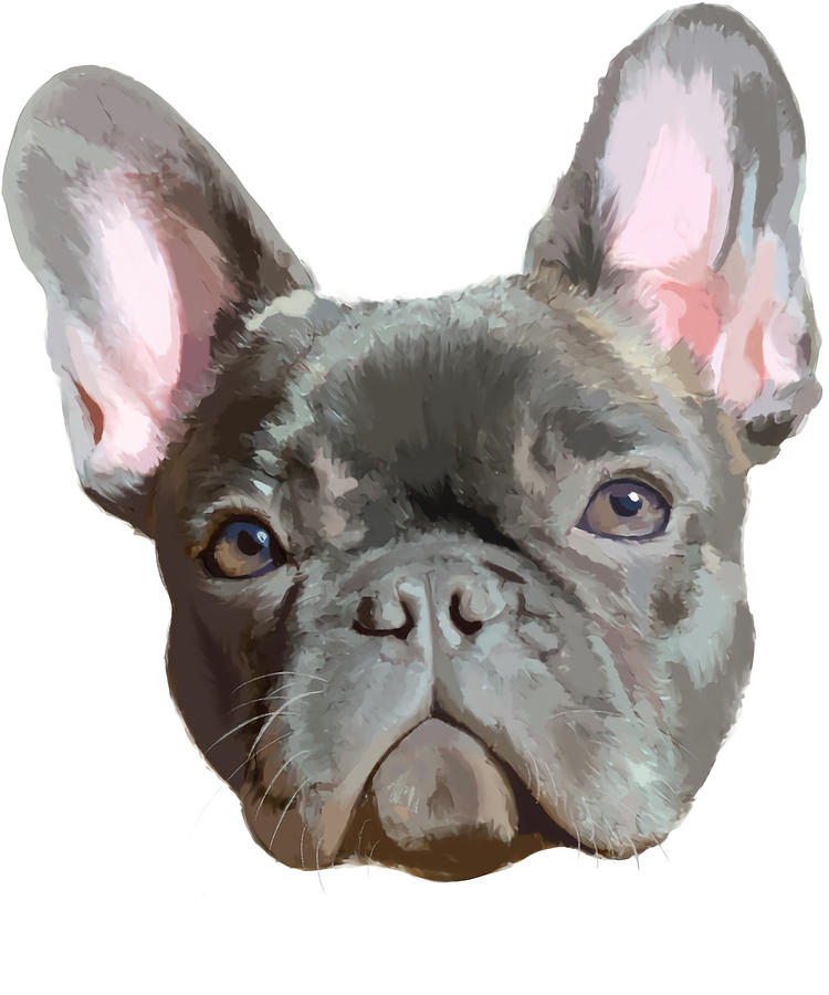 FRONTARTFrench Bulldog Frenchie Dog blue humor Painting by Joshua ...