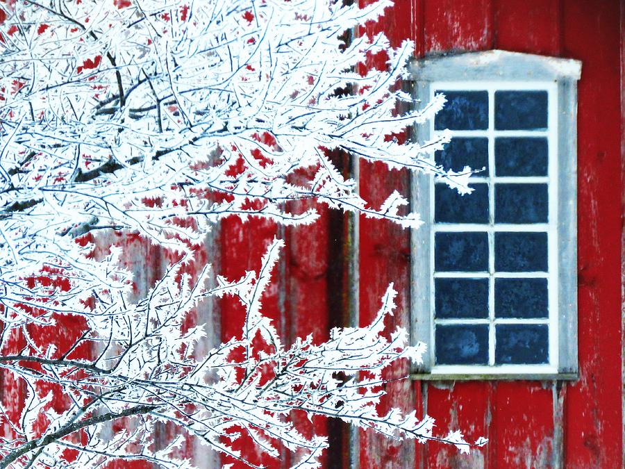 Frost and Barn Window  Photograph by Lori Frisch
