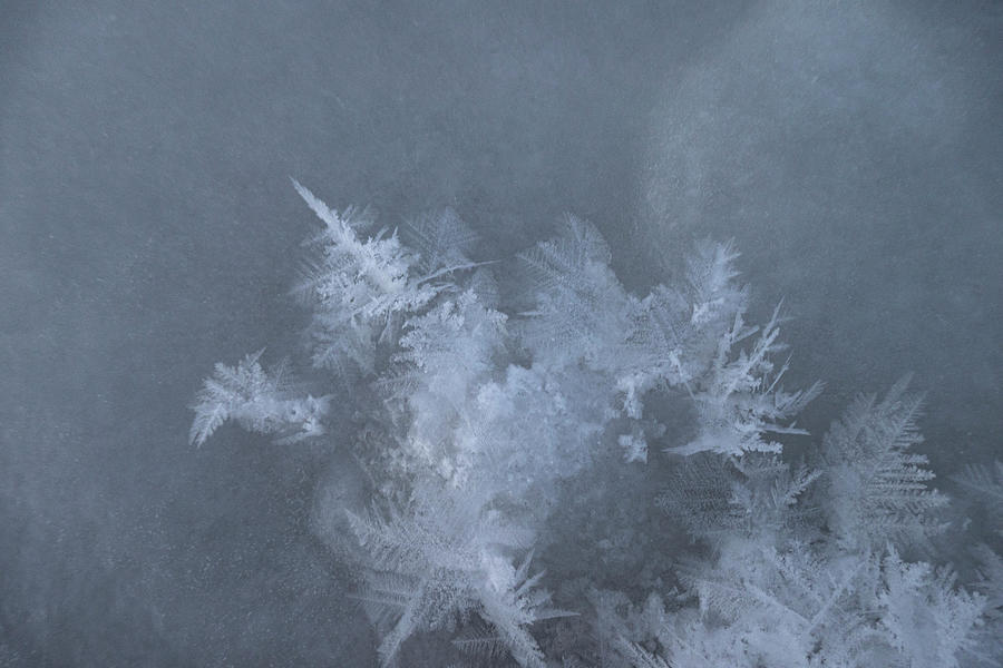 Abstract Photograph - Frost And Ice Abstract by Phil And Karen Rispin