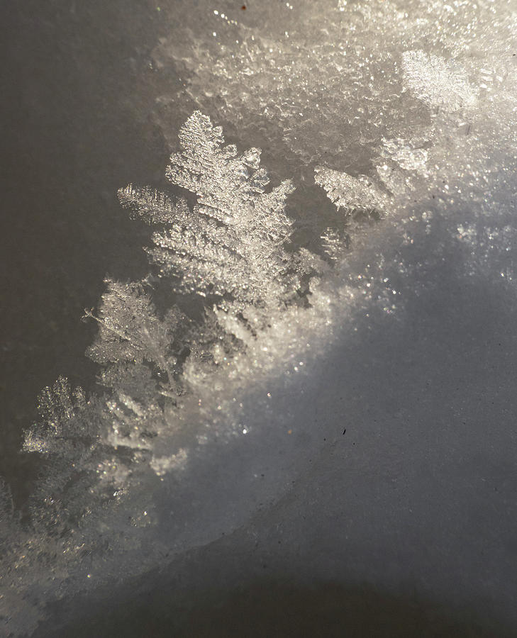 Winter Photograph - Frost Crystals On Snow by Karen Rispin
