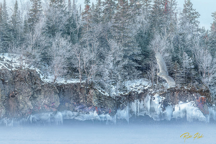 Frost Phantom of the frozen fog and her familiar ice spirit Photograph by Rikk Flohr