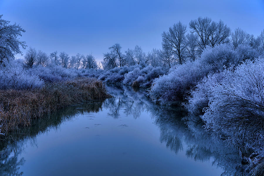 Frost in blue Photograph by Lynn Hopwood