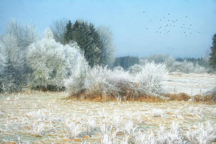 Frost Photograph by Jutta Maria Pusl