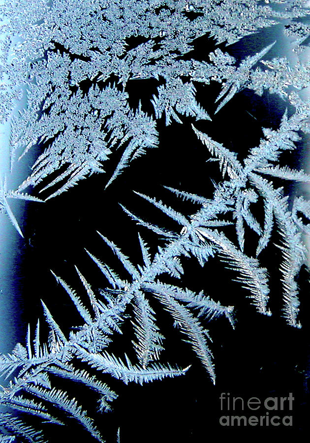 Frost on Glass Photograph by Mariarosa Rockefeller