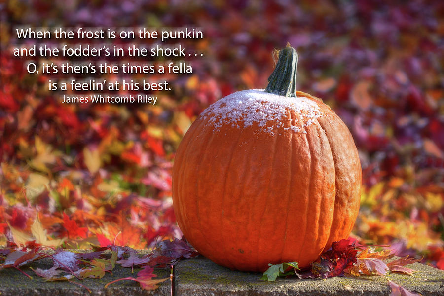 Frost on the Punkin - Pumpkin Photograph by Nikolyn McDonald