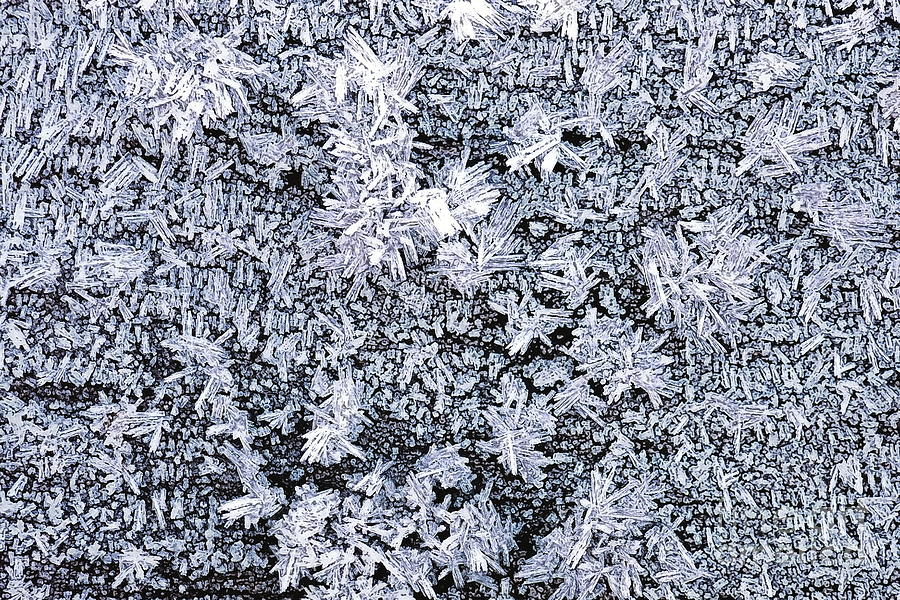 Frost On Wood, Painterly Photograph
