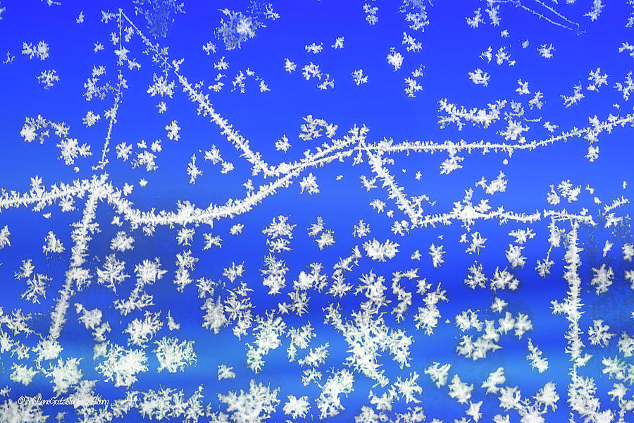 Frost Patterns On Blue Photograph