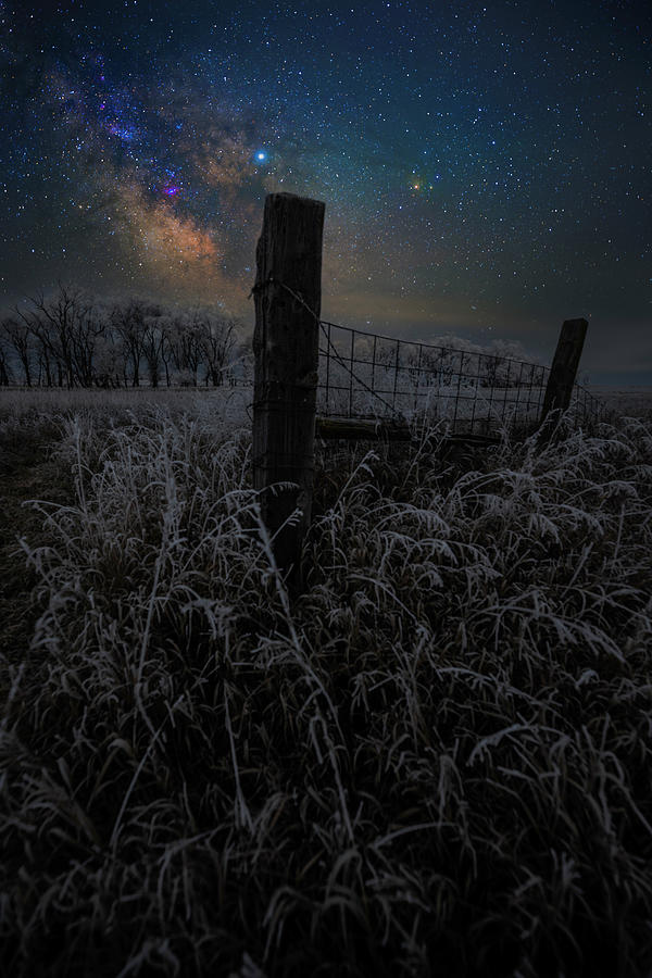 South Dakota Photograph - Frostbitten by Aaron J Groen