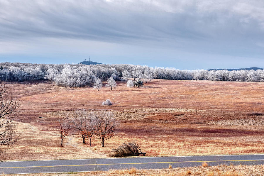 Frosted Big Meadows Photograph