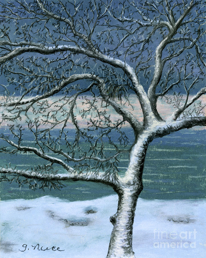 Frosted Branches Painting by Ginny Neece