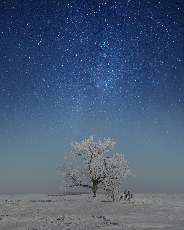 Stars Photograph - Frosted Dream by Aaron J Groen