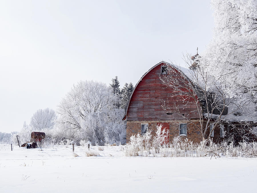 Frosted Farm Photograph by Penny Meyers