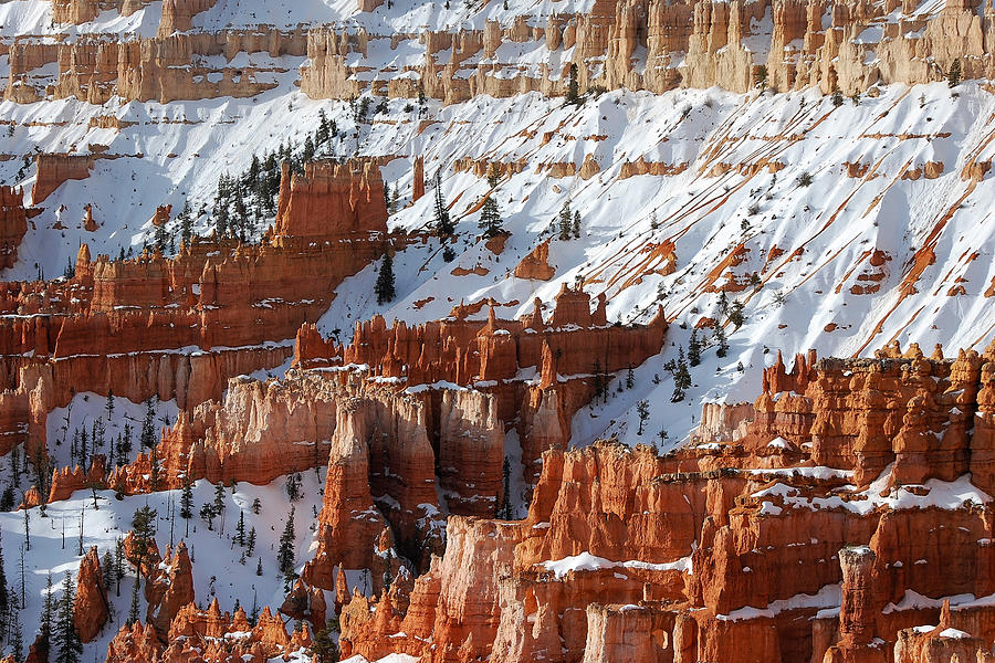 Frosted Gingerbread -- Snow-Covered Landscape in Bryce Canyon National Park, Utah Photograph by Darin Volpe