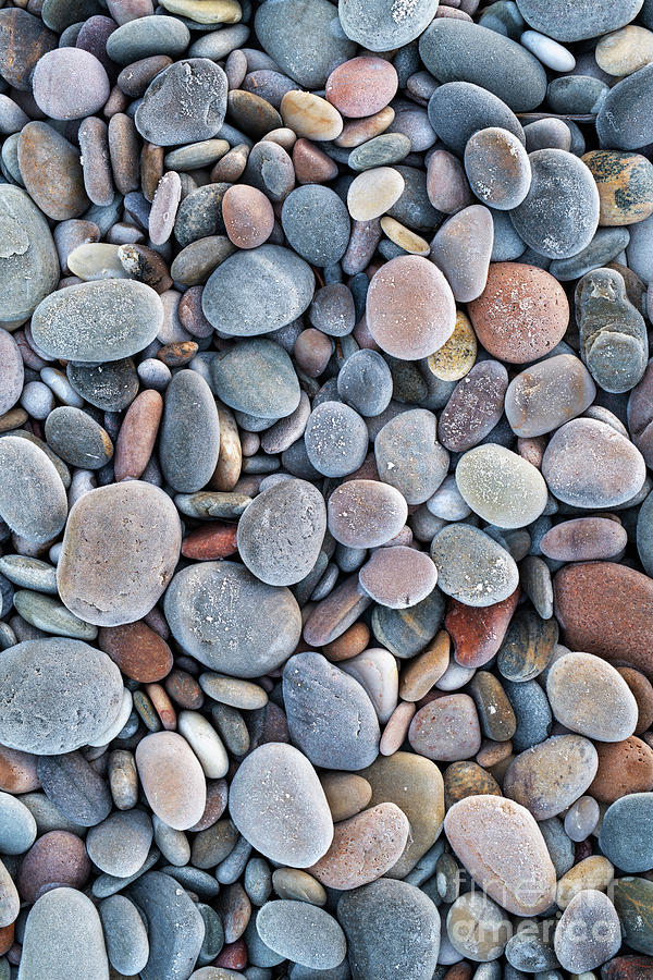 Pebbles Photograph - Frosted Pebbles by Tim Gainey
