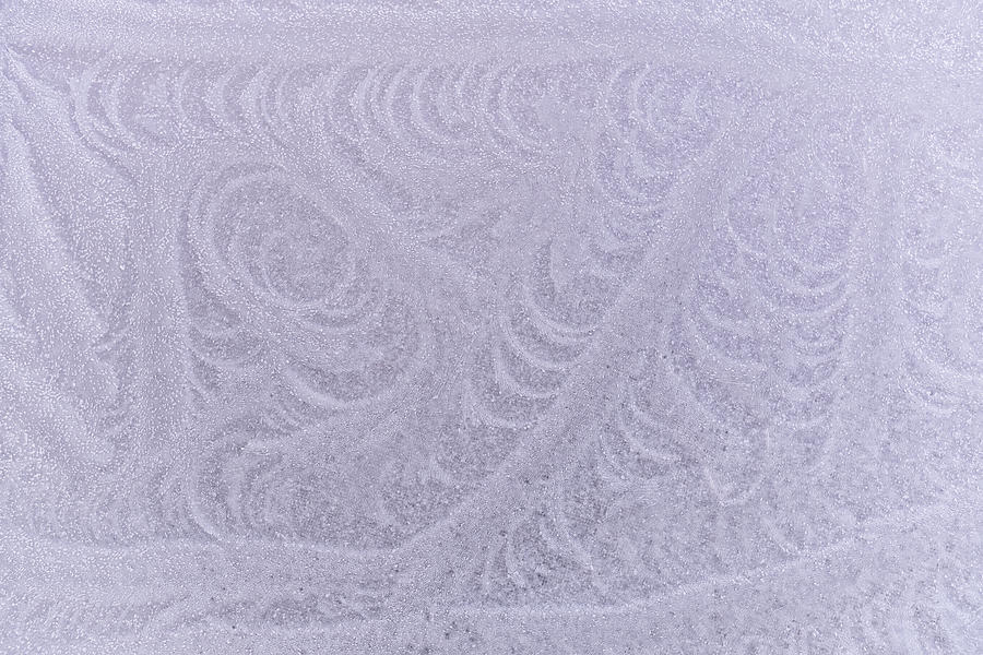 Frosted Scroll. Photograph by Jeff Sinon