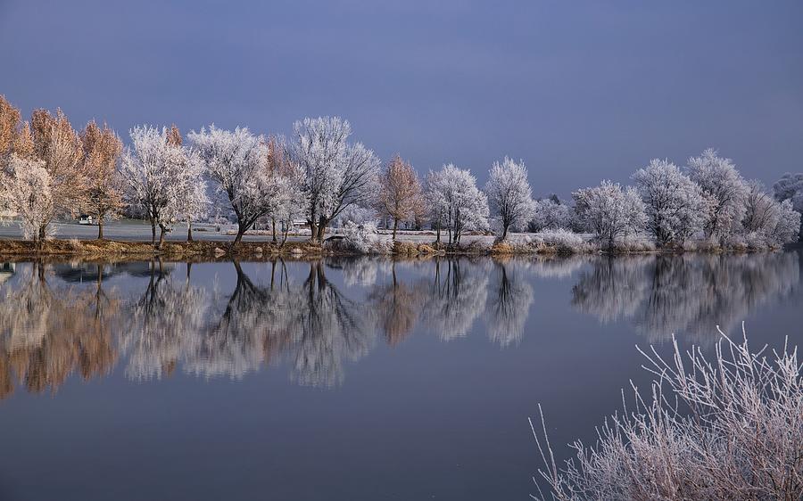 Frosted Trees on the River Photograph by Lynn Hopwood