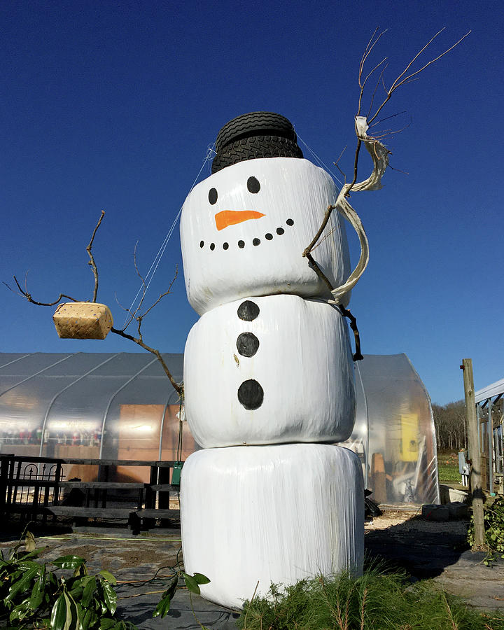 Frosty, a Hay Bale Snowman - Vertical Photograph by Bill Swartwout