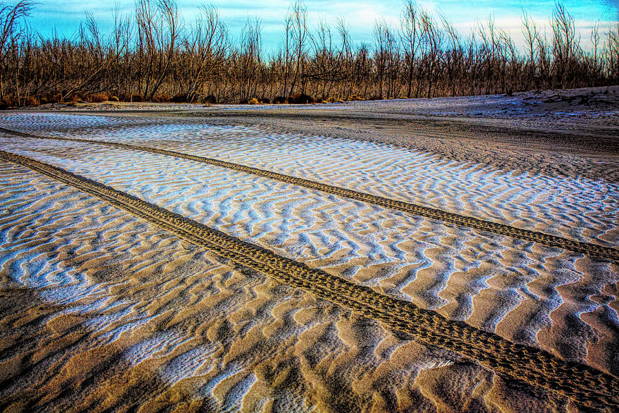 Frosty Beach Tracks Photograph by Bill Kesler