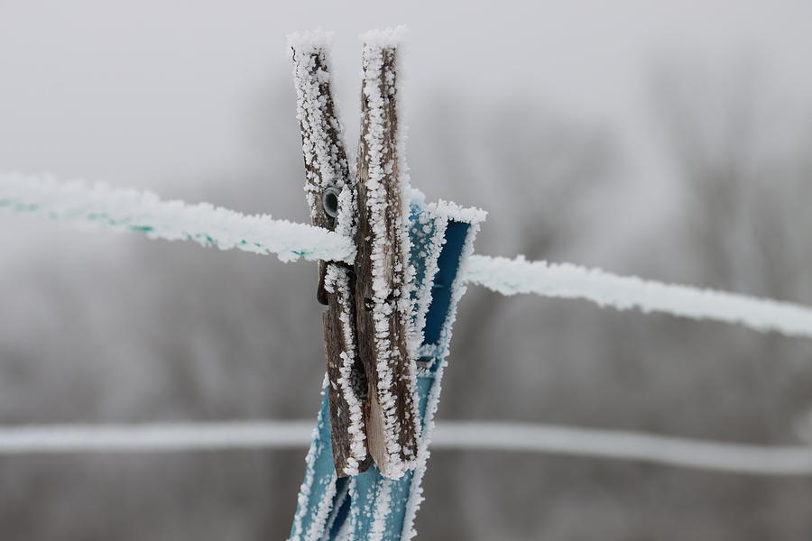 Frost Photograph - Frosty The Clothes Pins by James S