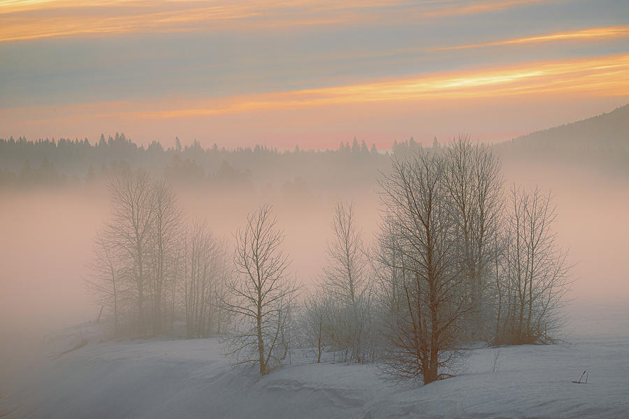 Frosty Dawn Photograph by Mike Lee