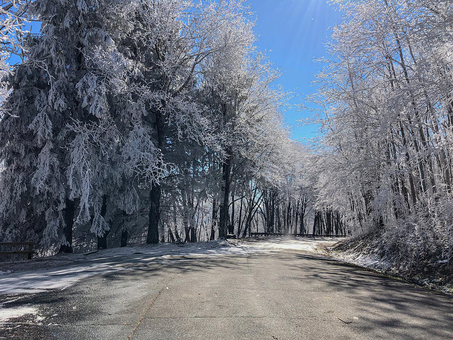 Frosty Drive Photograph by Kelly Kennon
