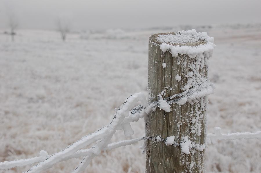 Frosty Fence Post Photograph by Granny B Photography