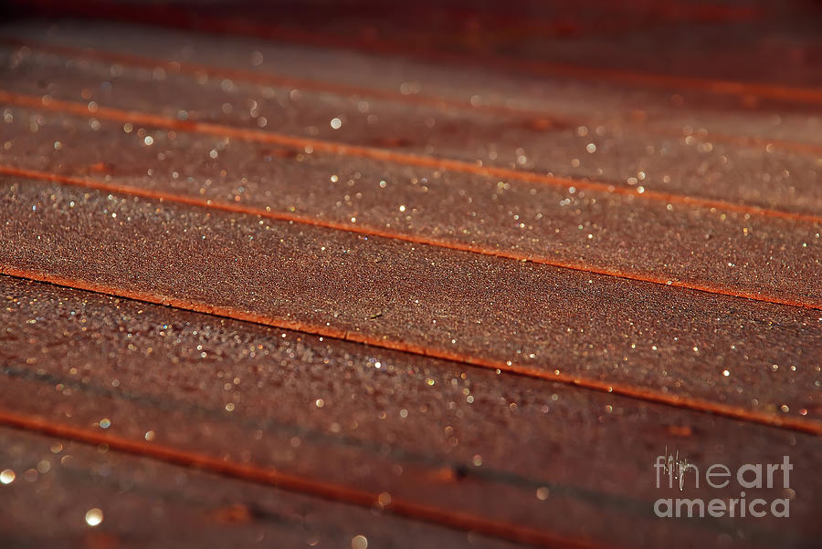 Frosty Floorboards Photograph by Lois Bryan